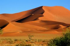 the desert is covered in sand dunes and trees