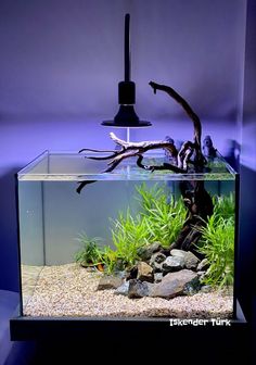 an aquarium with plants and rocks in the water, next to a light that is on