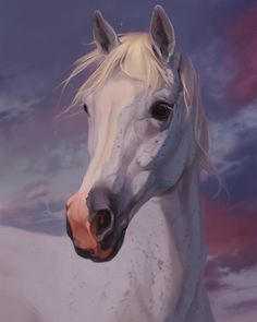 Horse Deviantart, White Arabian Horse, Night Horse, Animal Artists, Racing Quotes, Pony Breeds, Horse Sketch, Grey Horse