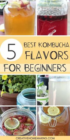 The 6 best kombucha flavors for beginnersRecipes for lavender lemonade kombuchalemon ginger kombucharaspberry lime kombuchaand more. Kombucha Recipes, Best Kombucha, Kombucha Flavors, Homemade Kombucha, Kombucha Recipe, Kombucha Tea, Probiotic Foods