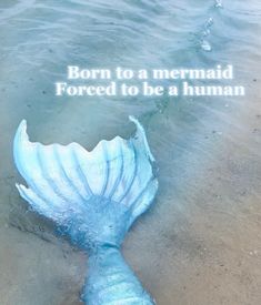 an image of a mermaid tail on the beach with text born to a mermaid forced to be a human