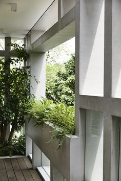 the interior of a building with plants growing out of it