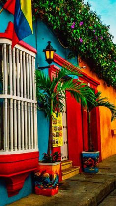 colorful buildings with windows and plants on the outside