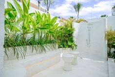 there is a white bathroom with plants in the bathtub and on the shower wall