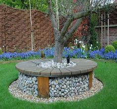 a tree sitting in the middle of a garden with rocks on it's sides