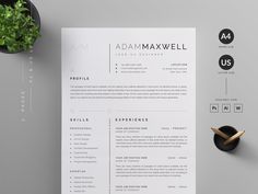 a clean and modern resume is displayed on a desk next to a potted plant