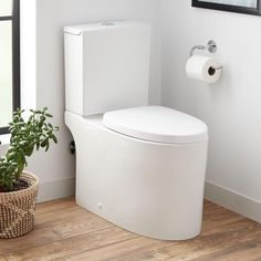 a white toilet sitting in a bathroom next to a potted plant and framed pictures