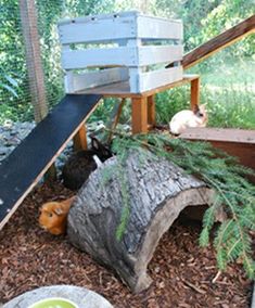 some animals are sitting in the dirt near a tree stump and a bird feeder with plants growing out of it