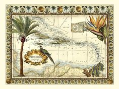 an old map with birds and flowers on the bottom, surrounded by other tropical plants