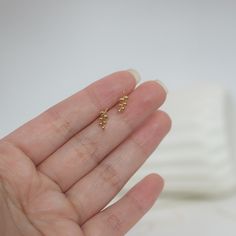 Buy Small Tiny Leaf Studs Earrings Gold Silver Branch Ear Climbers Studs Dainty Olive Branch Stacking Earrings Minimalist Birthday Gift for Her Online in India - Etsy Dainty Pierced Ear Climbers As A Gift, Minimalist Sterling Silver Tarnish Resistant Ear Climbers, Minimalist Sterling Silver Tarnish-resistant Ear Climbers, Dainty Yellow Gold Ear Climbers Gift, Minimalist 14k Gold Ear Climbers As Gift, Minimalist Gold Sterling Silver Ear Climbers, Tarnish Resistant Yellow Gold Ear Climbers For Gift, Dainty Ear Climbers With Ear Wire As Gift, Dainty Ear Climbers As Gift