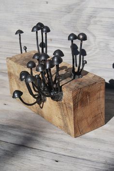 a bunch of mushrooms sitting on top of a wooden block