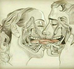 a drawing of two people kissing each other with their heads and neck muscles visible in the upper half