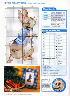 the cross stitch pattern book features an image of a bunny with carrots in it