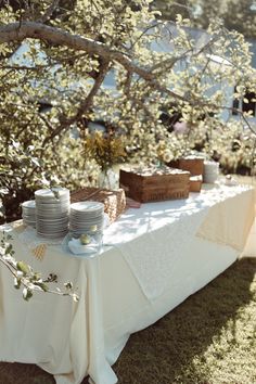 a table with plates and cups under a tree