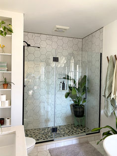 a bathroom with a glass shower door and tiled floor, plants on the shelf next to it