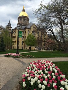 flowers are blooming in front of a large building with a gold dome on top