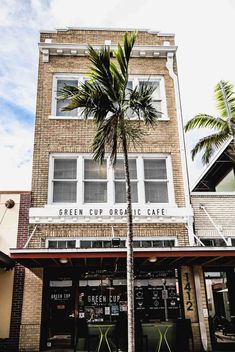 a palm tree in front of a building with windows and signs on the side of it