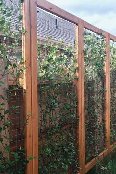 a wooden fence with vines growing on it