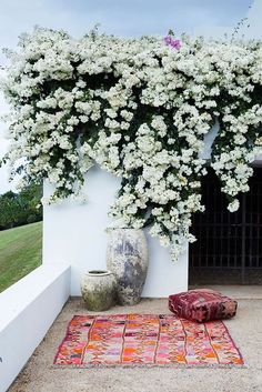 Bohemian Outdoor, نباتات منزلية, Mediterranean Garden, White Gardens, Bougainvillea, Outdoor Design, Dream Garden, Garden Inspiration, Patio Garden