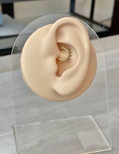 a fake ear in a clear acrylic display case on a gray table top