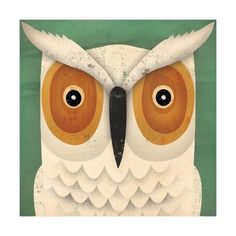 an owl's face with big eyes and large white feathers on a green background