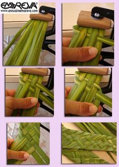 the process of cutting green beans with a knife and other pictures showing how to cut them