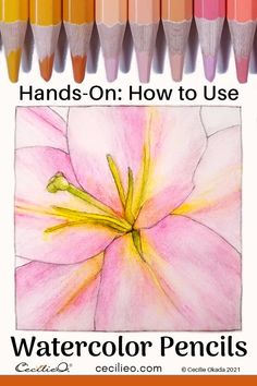 colored pencils with the title how to use watercolor pencils