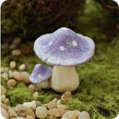 a purple mushroom sitting on top of a moss covered ground