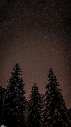 the night sky is filled with stars and snow covered pine trees in front of them