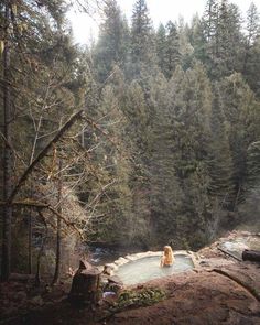 a person in a hot tub surrounded by trees