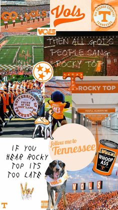 the collage shows many different sports teams and their mascot, including an orange football helmet