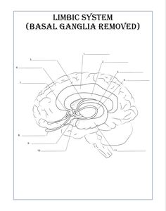 the limbic system is labeled in this diagram