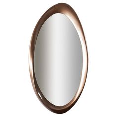 an oval shaped mirror is shown against a white background