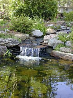 a small waterfall in the middle of a garden