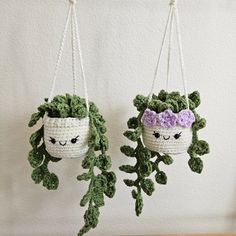 two crocheted plants hanging from hooks with eyes on them, one is green and the other is white