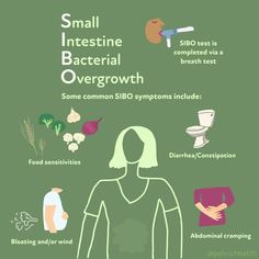 Small Intestine Bacterial Overgrowth: Overview and Updates | Pelvic Health and Rehabilitation Center Pelvic Floor Dysfunction Symptoms, Constipation Food, Gastric Problem, Pelvic Health