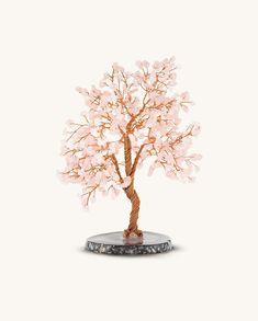 a small tree with pink flowers on it