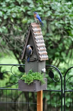 a bird house with two birds perched on it's roof and another bird in the background