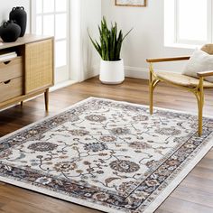 a living room area with a rug, chair and potted plant