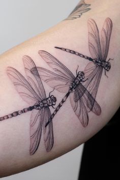 three dragonflys on the arm with chains attached to it's back legs