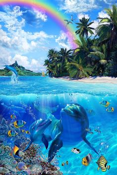 two dolphins swimming in the ocean under a rainbow colored sky with palm trees and fish