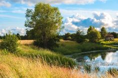 Photos Of Trees Nature, Simple Landscape Photography, Rural Landscape, Landscape Illustration, Colorful Landscape