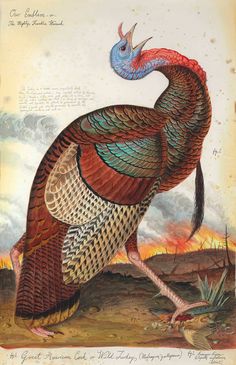 a painting of a bird with feathers on it's head and tail, standing in the dirt