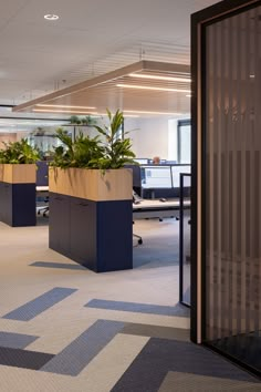 two planters in the middle of an office cubicle with blue and tan walls