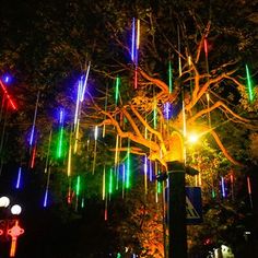 a tree with lights hanging from it's branches in front of trees at night