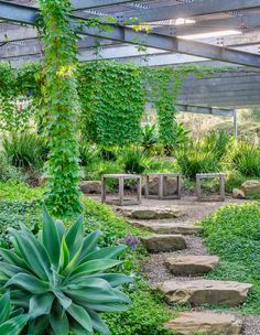 an outdoor garden with rocks and plants in the center, surrounded by stone steps that lead up to a pergolated roof