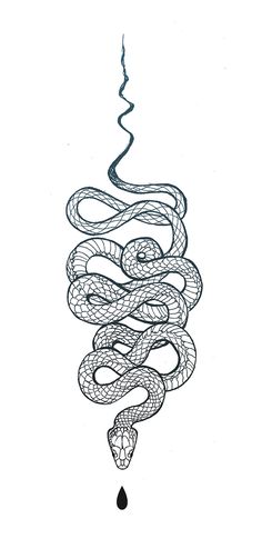 a drawing of a snake hanging upside down