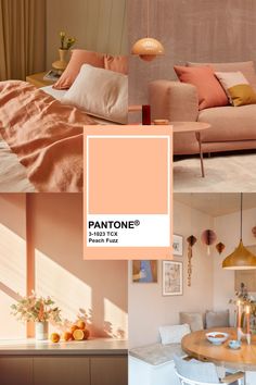 pantone's color of the year is peach