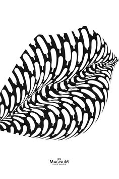 a black and white drawing of a feather with the words maximum on it's side