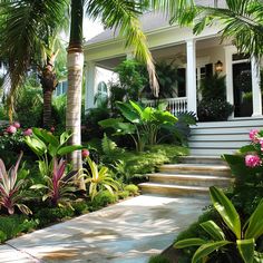 a white house surrounded by tropical plants and flowers in the front yard with steps leading up to it